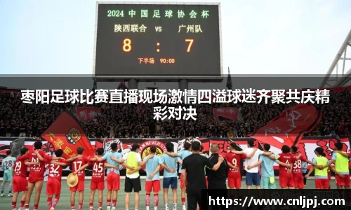 枣阳足球比赛直播现场激情四溢球迷齐聚共庆精彩对决