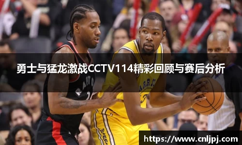 勇士与猛龙激战CCTV114精彩回顾与赛后分析